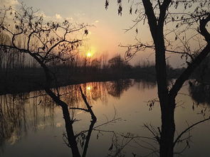 艺术与数字的双重奏 设计艺术学院学子以个人互联网服务荣获中华杯全国文学创作大赛三等奖